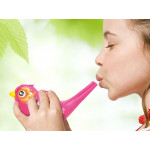 Vodná píšťalka – vtáčik ružový